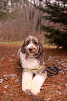 Sally and Champ-6